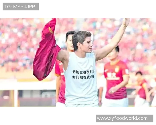 球星退役后的足球传奇：那些打动人心的告别歌曲与瞬间